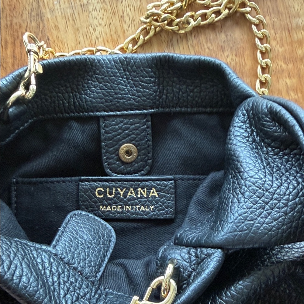 EUC Cuyana Mini Bow Leather Top Handle Bag - Picture 2 of 9